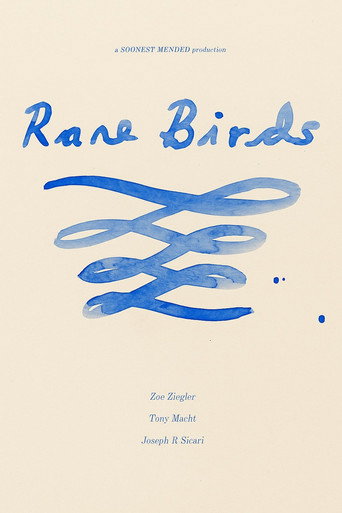 Rare Birds poster