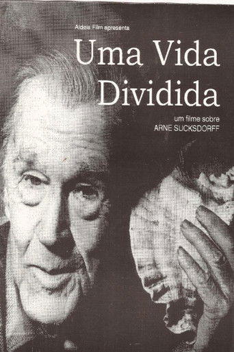 Uma Vida Dividida poster