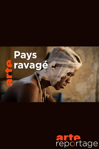 Movie poster for Soudan guerre du Tigre sur l autre rive (2021)