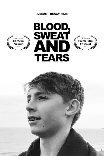 Movie poster for Blood, Sweat and Tears (2017)