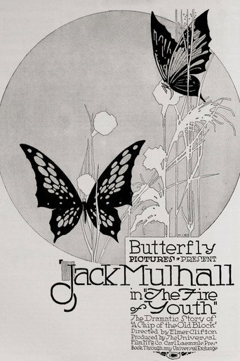 Movie poster for The Flame of Youth (1917)