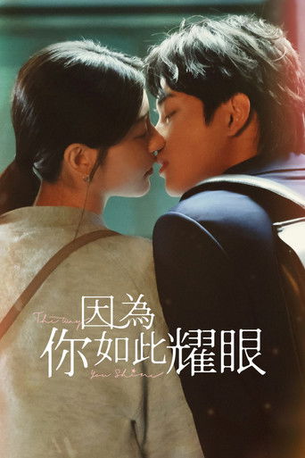 The Way You Shine poster