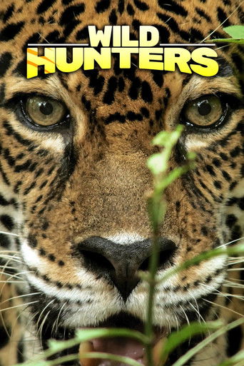 Wild Hunters poster