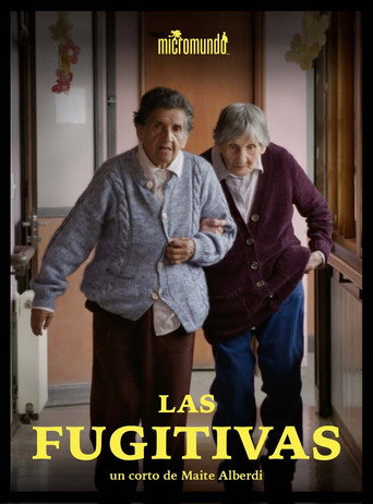 Movie poster for The Fugitives (2021)