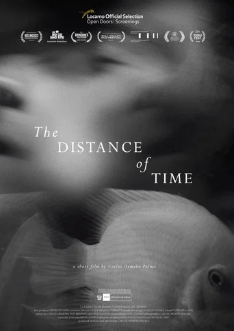 Movie poster for The Distance of Time (2021)