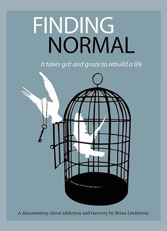 Movie poster for Finding Normal (2007)