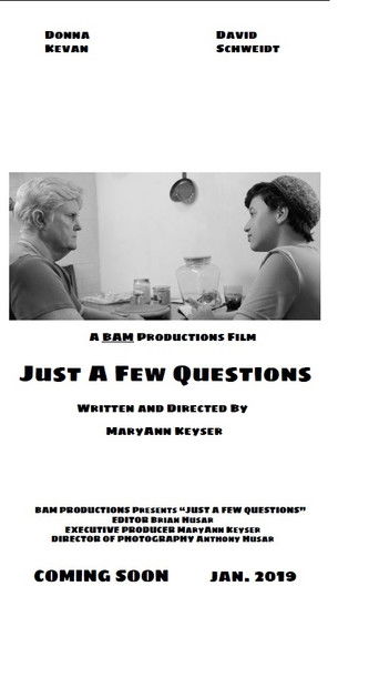Just a Few Questions poster