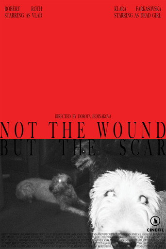 Not the Wound but the Scar poster