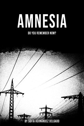Movie poster for Amnesia (2024)