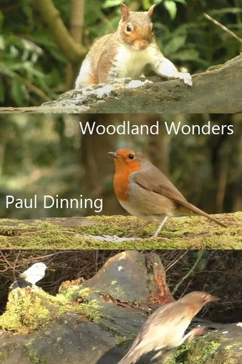 Movie poster for Woodland Wonders (2023)