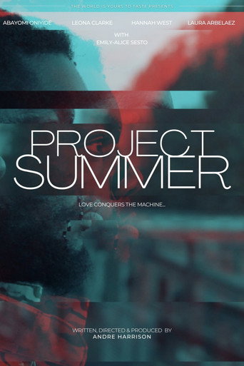 Movie poster for Project Summer (2022)