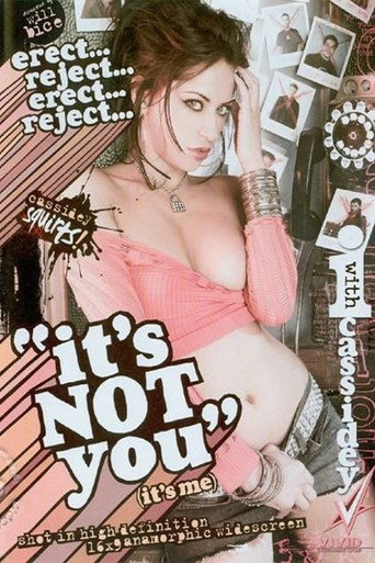 Movie poster for It's Not You (2006)