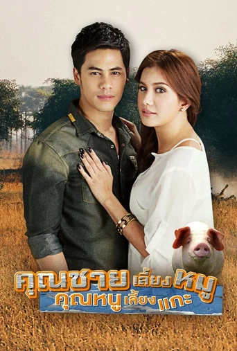 Series poster for Beauty On the Run (2013)