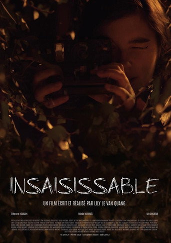 Movie poster for Insaisissable