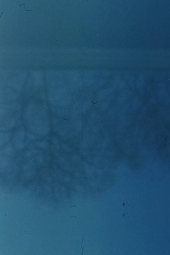 Austrian Pavilion poster