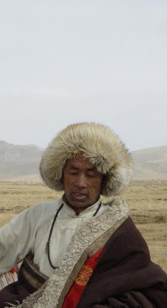 Movie poster for The Grassland (2004)
