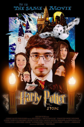Movie poster for Harry Potter and the Stone (2024)