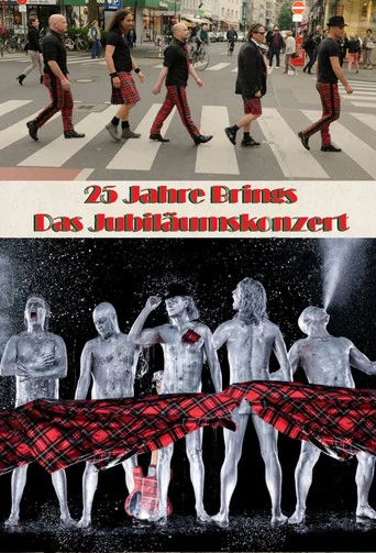 Movie poster for 25 Jahre Brings - Das Jubiläumskonzert (2016)