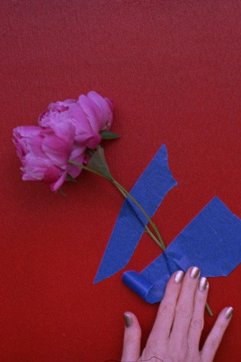Movie poster for 3 peonies (2018)