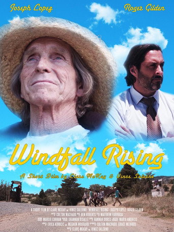 Movie poster for Windfall Rising (2017)