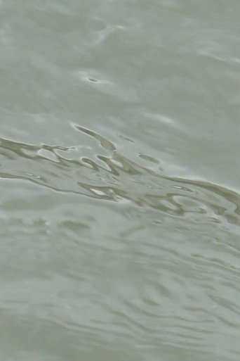 Movie poster for entre les vagues (un hommage) (2023)