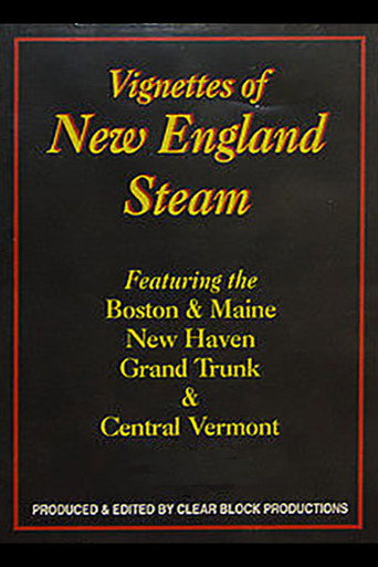 Movie poster for Vignettes of New England Steam (2004)
