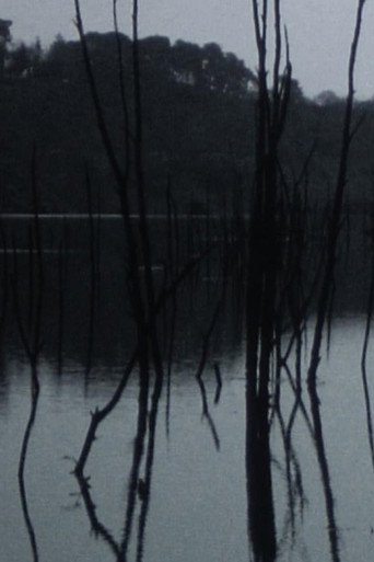 Movie poster for Sleeping waters (2016)