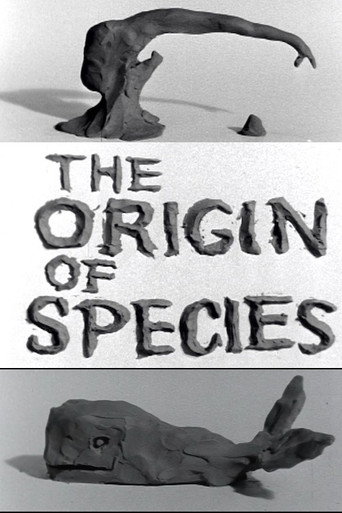 Movie poster for Clay or The Origin of Species (1965)