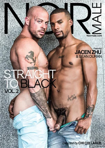 Movie poster for Straight to Black Vol. 2 (2019)