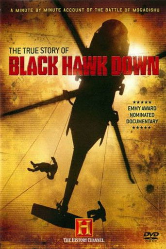 Movie poster for The True Story of Black Hawk Down (2003)