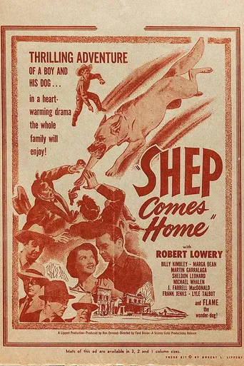 Shep Comes Home poster