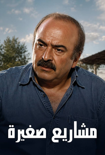 Series poster for Small Projects (2006)