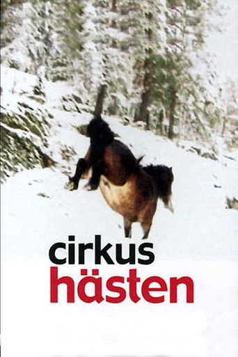 Movie poster for The Circus Horse (2003)