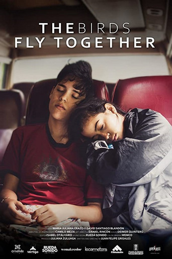 Movie poster for The Birds Fly Together (2021)