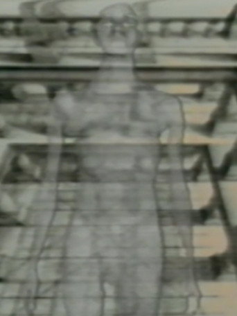 Movie poster for Viewers Of Optics (1987)