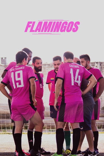 Movie poster for Flamingos (2019)