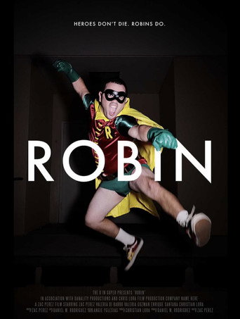 Movie poster for ROBIN (2022)