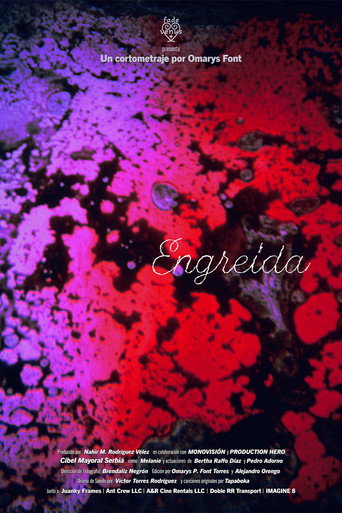 Movie poster for Engreída (2025)