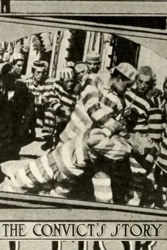 Movie poster for The Convict's Story (1914)