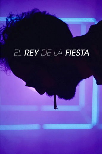 Movie poster for The King Of The Party (2021)