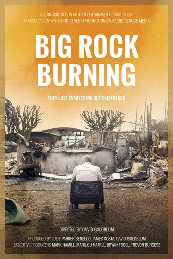 Big Rock Burning poster