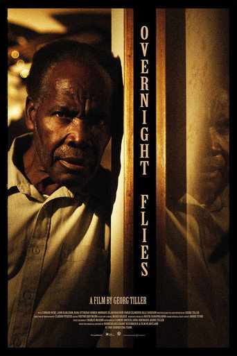 Movie poster for Overnight Flies (2016)