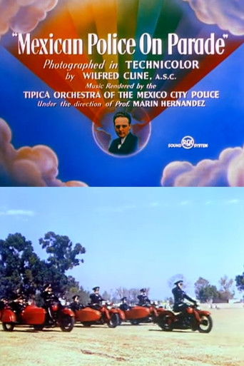 Mexican Police on Parade poster