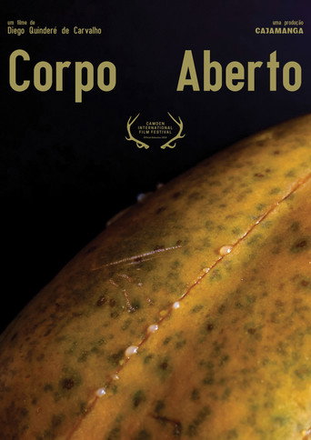 Movie poster for Corpo Aberto (2019)