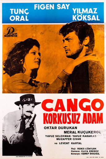 Movie poster for Django - Fearless Man (1967)