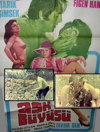 Movie poster for Aşk Büyüsü (1979)