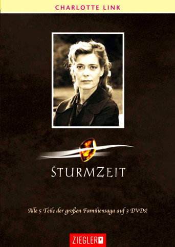 Sturmzeit poster