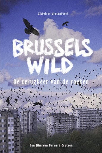 Movie poster for Bruxelles Sauvage - Le retour des corbeaux (2024)