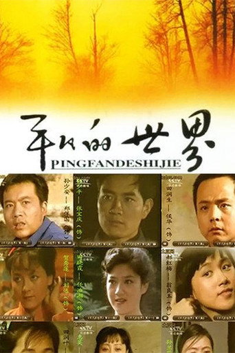 平凡的世界 poster