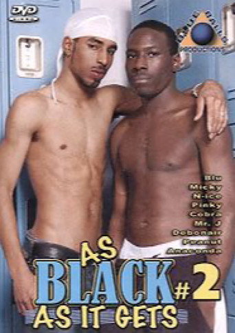 Movie poster for As Black as It Gets 2 (2006)